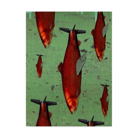 Anthony Freda 'Fish Red' Canvas Art,18x24